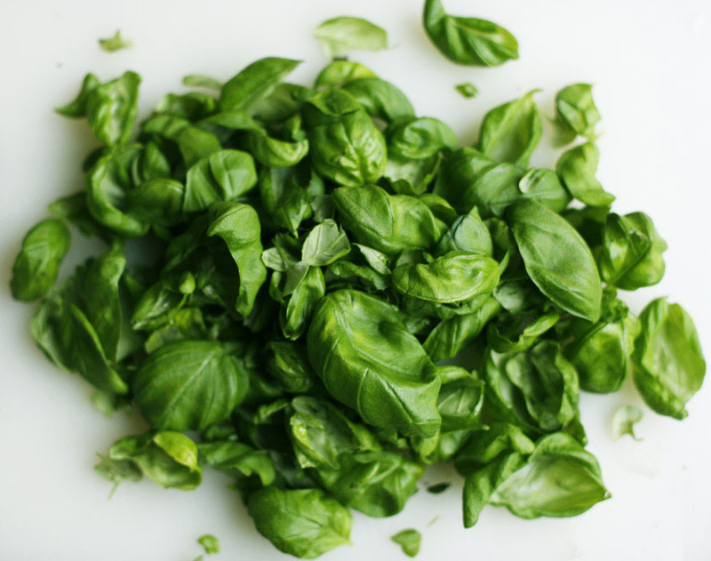 Basil