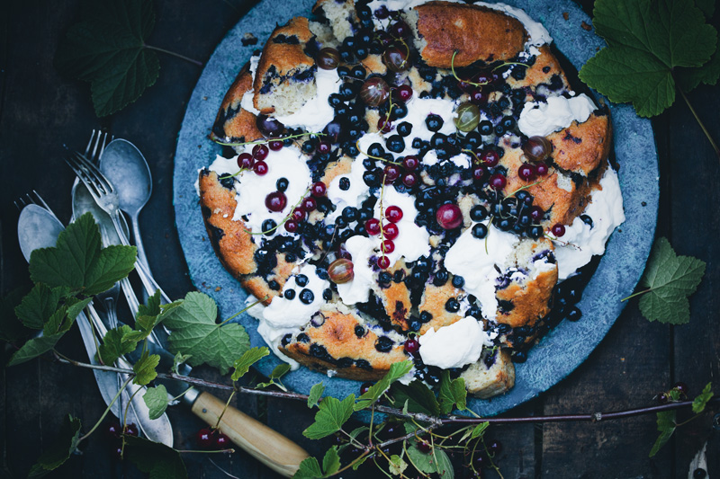 Blueberry_yogurt_cake_01