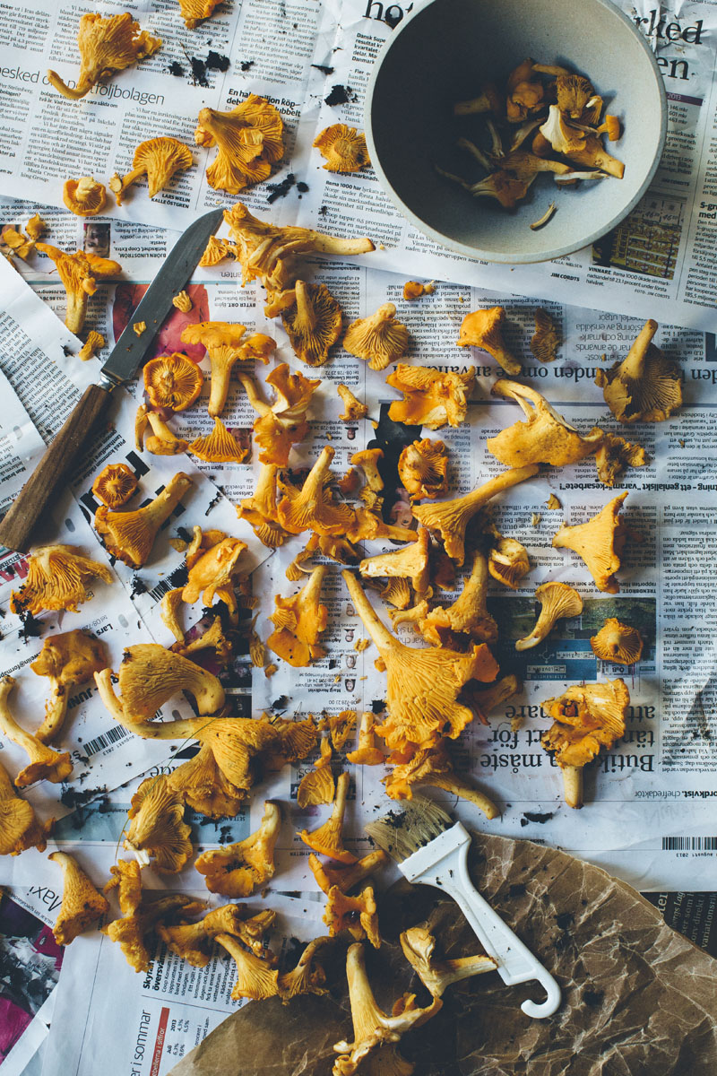 Chanterelle_soup_2