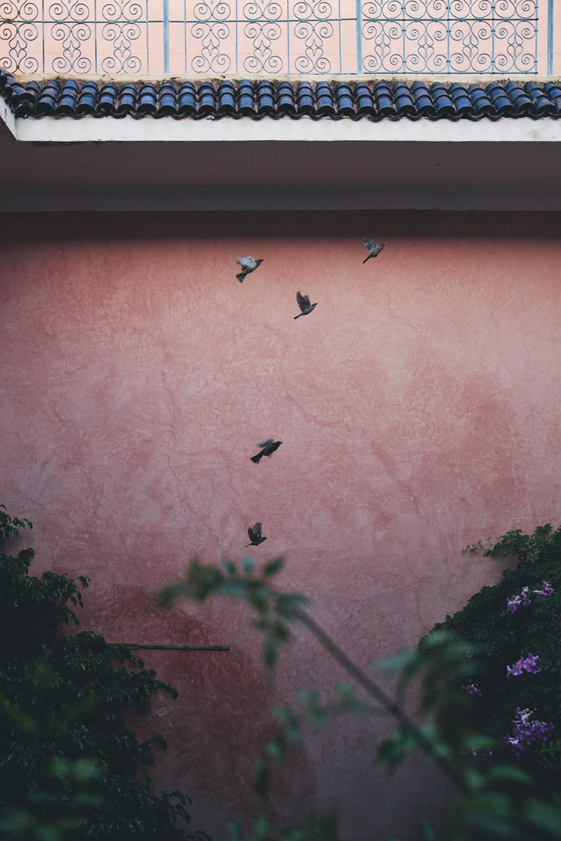 Marrakech_11