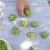 Herb & Pistachio Falafels